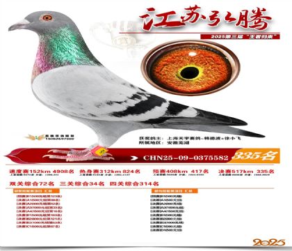 ���պ��ھ���335��