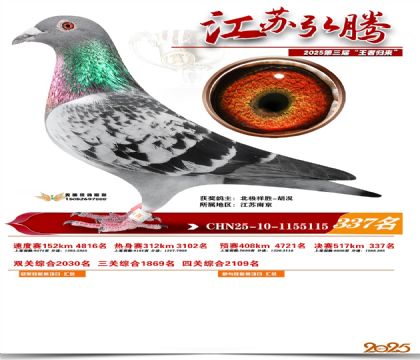 ���պ��ھ���337��