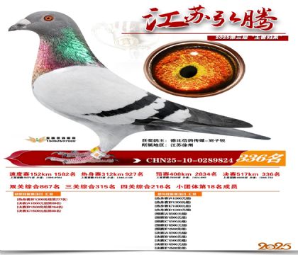 ���պ��ھ���336��