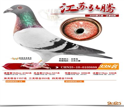 ���պ��ھ���338��