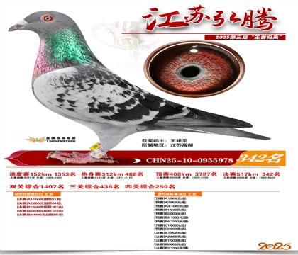 ���պ��ھ���342��