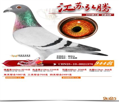 ���պ��ھ���344��