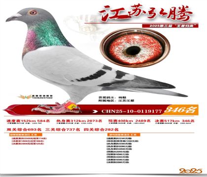 ���պ��ھ���346��