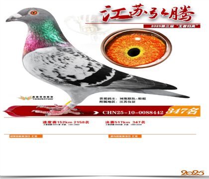 ���պ��ھ���347��