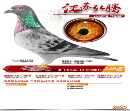 ���պ��ھ���349��