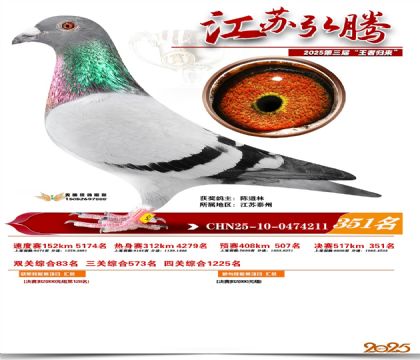 ���պ��ھ���351��