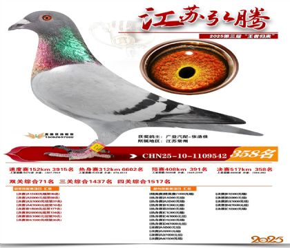 ���պ��ھ���358��