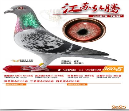 ���պ��ھ���360��