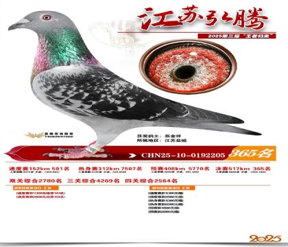 ���պ��ھ���365��