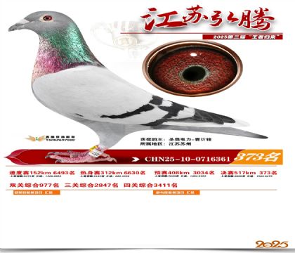 ���պ��ھ���373��