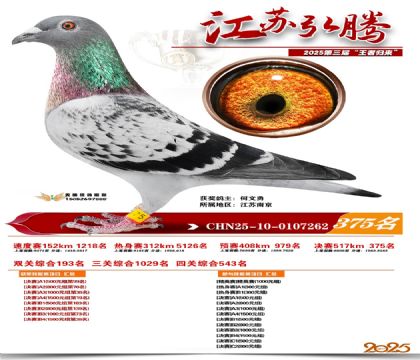 ���պ��ھ���375��