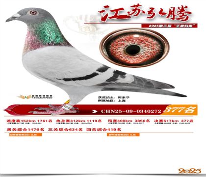 ���պ��ھ���377��