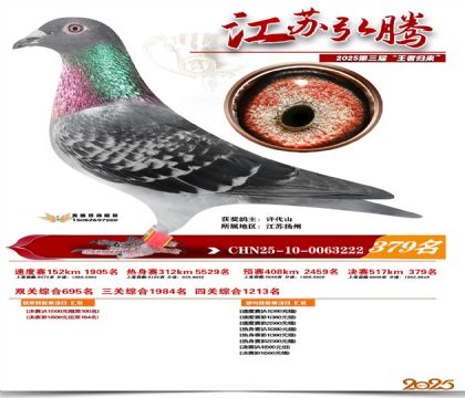 ���պ��ھ���379��