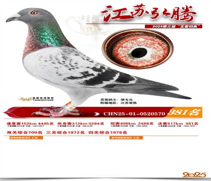 ���պ��ھ���381��