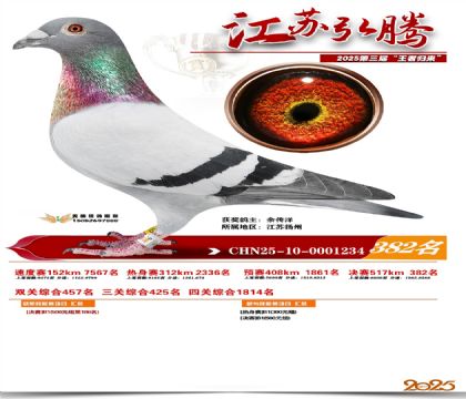 ���պ��ھ���382��