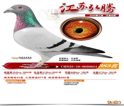 ���պ��ھ���383��