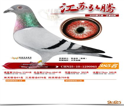 ���պ��ھ���385��