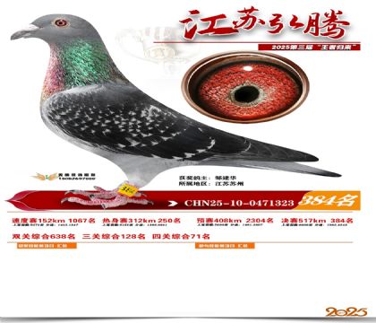 ���պ��ھ���384��