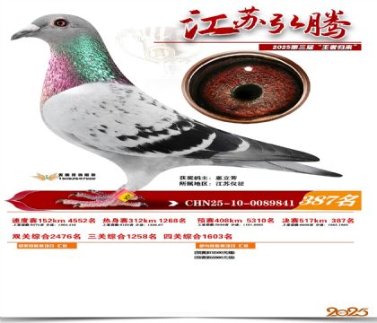 ���պ��ھ���387��