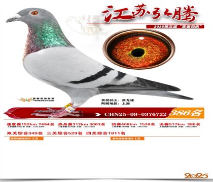 ���պ��ھ���386��