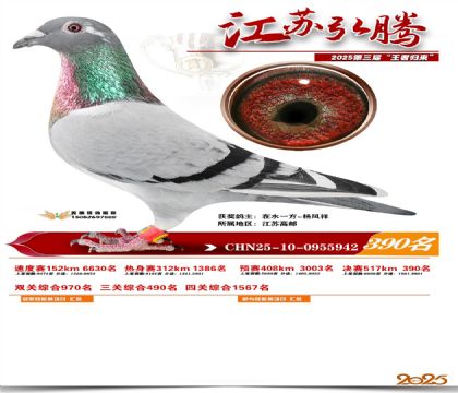 ���պ��ھ���390��