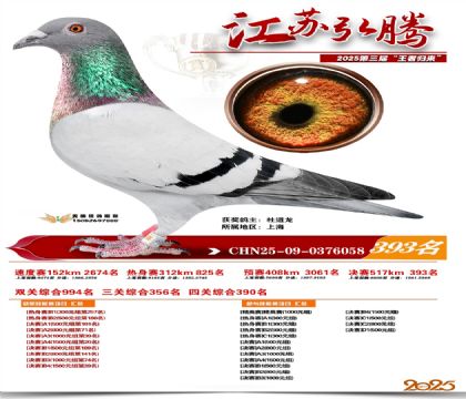 ���պ��ھ���393��