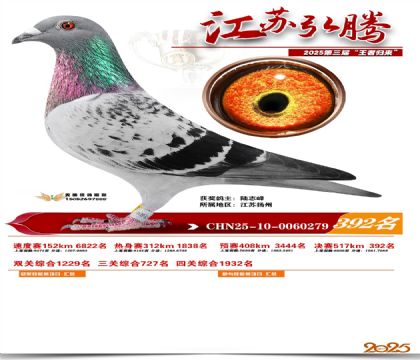 ���պ��ھ���392��