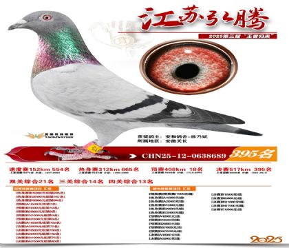 ���պ��ھ���395��