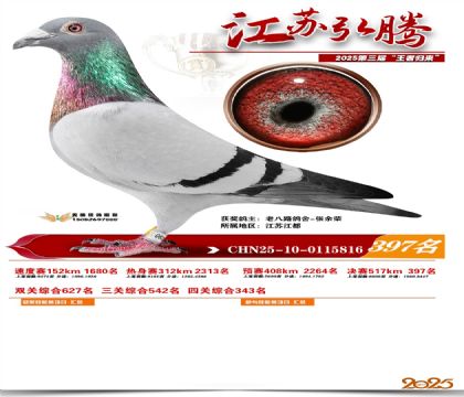 ���պ��ھ���397��