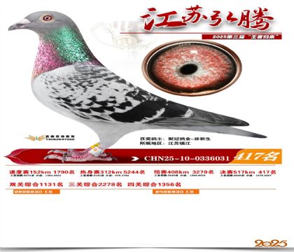 ���պ��ھ���417��