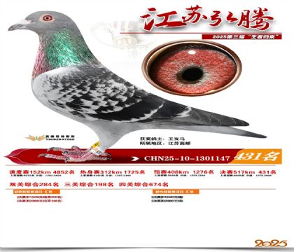 ���պ��ھ���431��