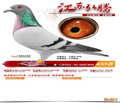 ���պ��ھ���433��