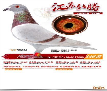 ���պ��ھ���446��