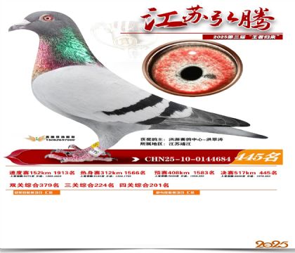 ���պ��ھ���445��