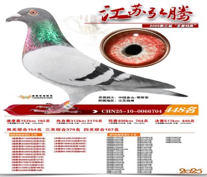 ���պ��ھ���448��