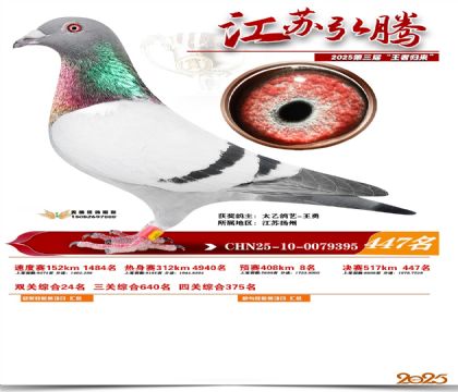 ���պ��ھ���447��