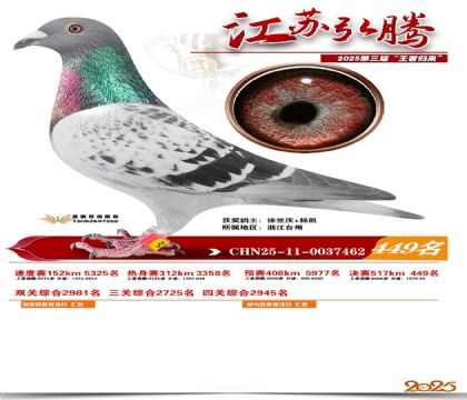 ���պ��ھ���449��