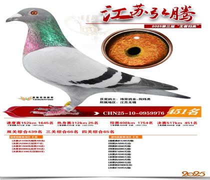 ���պ��ھ���451��