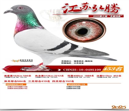 ���պ��ھ���453��