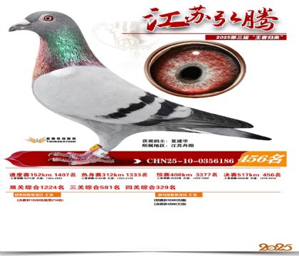 ���պ��ھ���456��