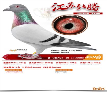 ���պ��ھ���459��