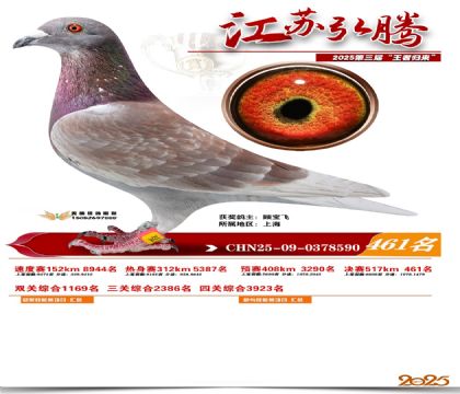 ���պ��ھ���461��