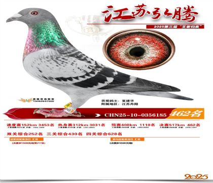 ���պ��ھ���462��