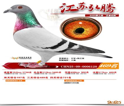 ���պ��ھ���469��