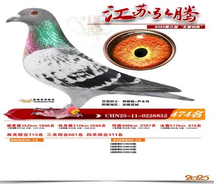 ���պ��ھ���474��