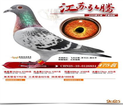 ���պ��ھ���475��