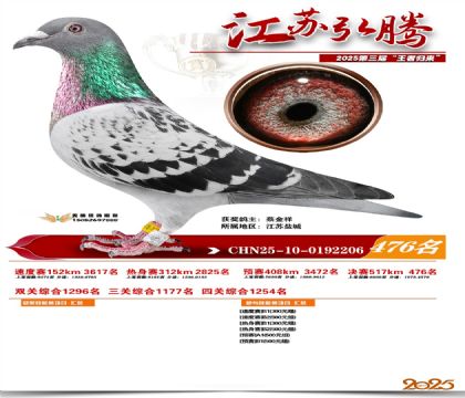 ���պ��ھ���476��