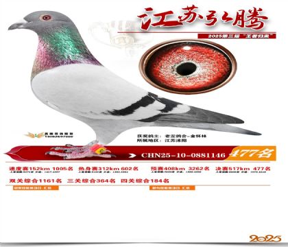 ���պ��ھ���477��