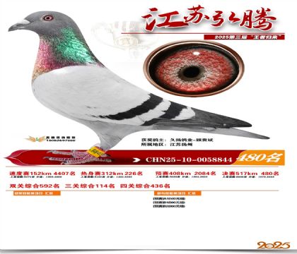 ���պ��ھ���480��