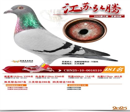 ���պ��ھ���481��